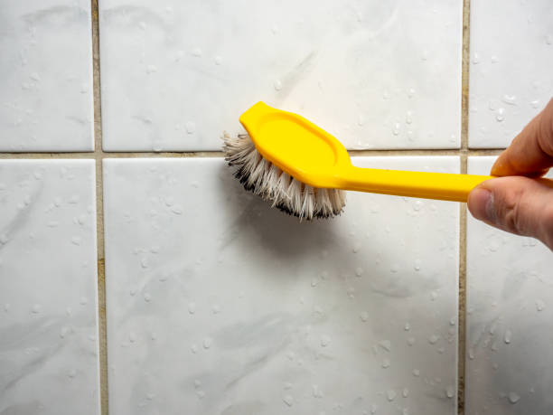 Meridian, PA Mold Removal Company