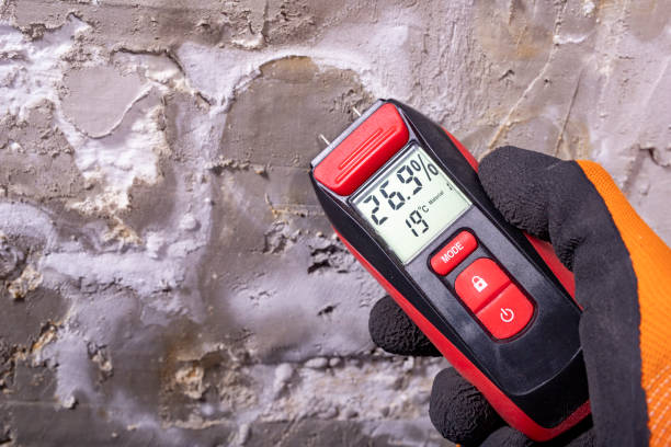 Best Commercial Mold Removal  in Meridian, PA