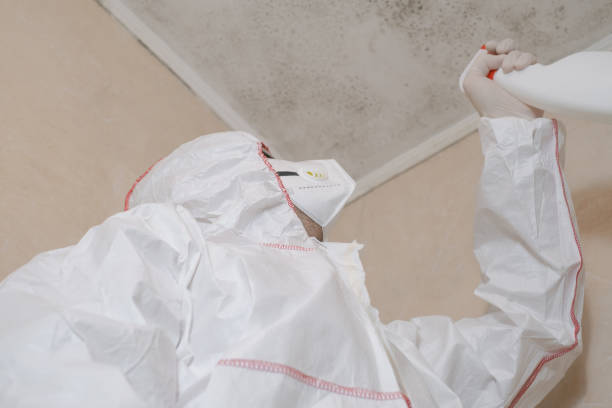 Best Water Damage Restoration  in Meridian, PA