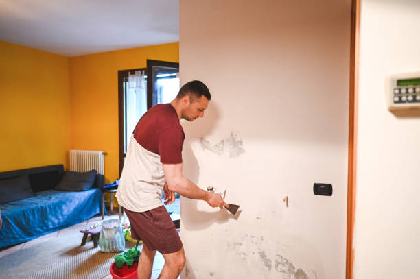 Best Mold Testing  in Meridian, PA